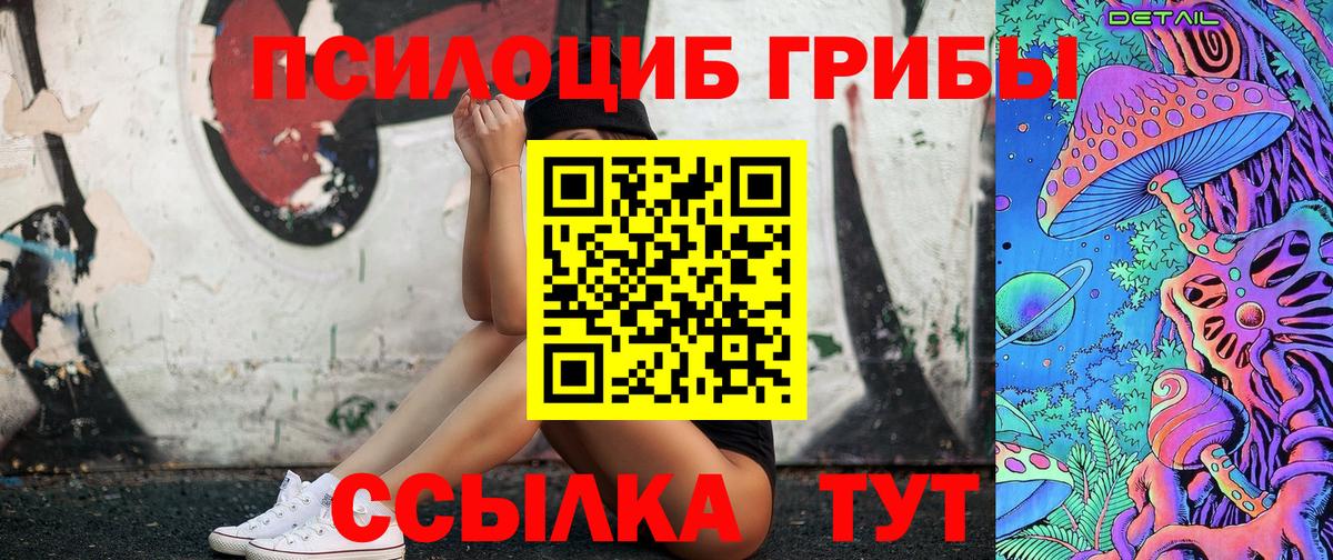 Галлюциногенные грибы Psilocybe Ульяновск
