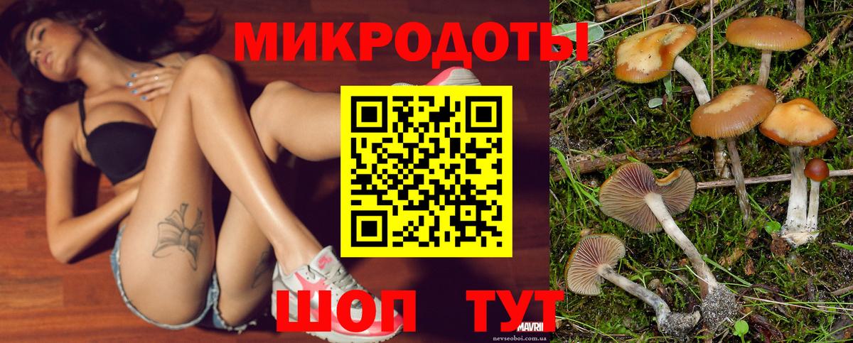 Ульяновск  Псилоцибиновые грибы ЛСД  продажа наркотиков  Псилоцибиновые грибы мухоморы  Вход с VPN 